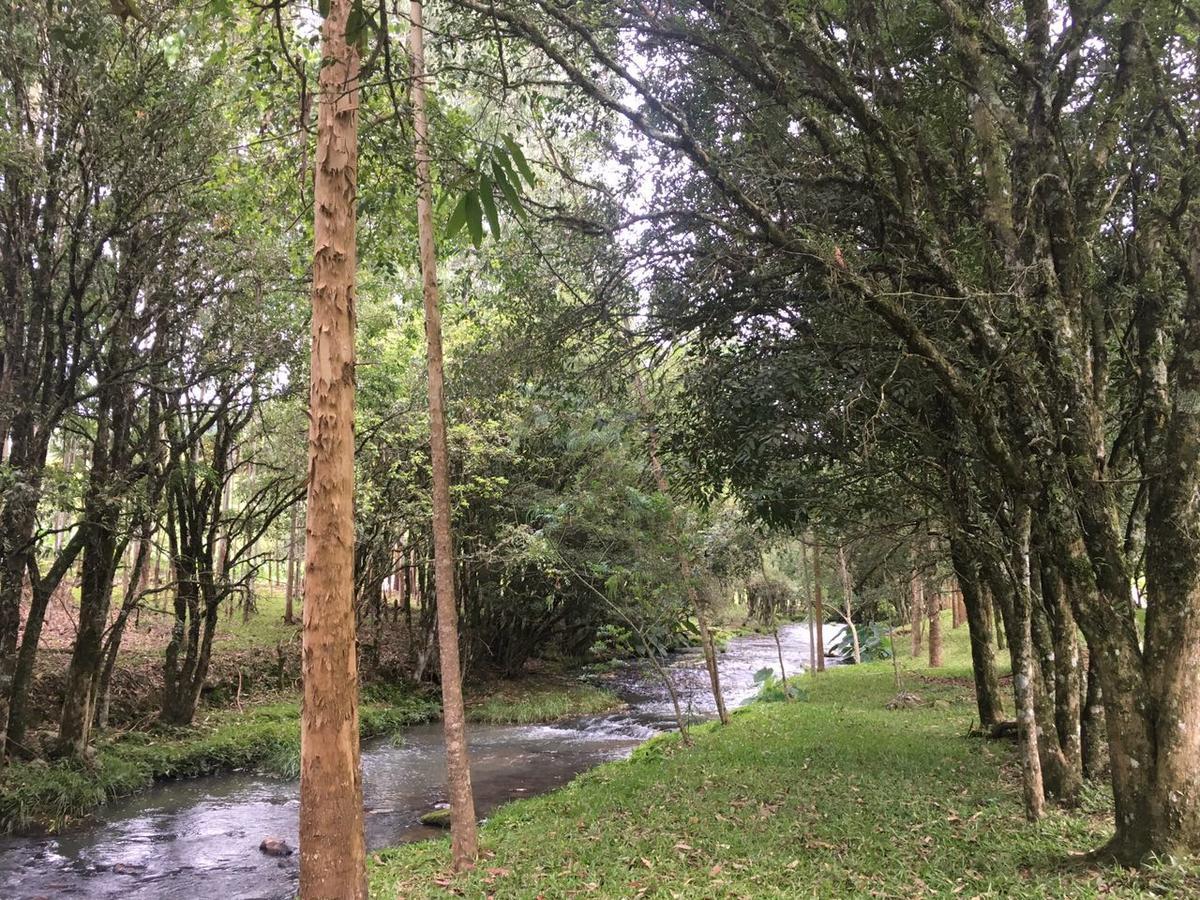 Cabana No Campo Caminho Do Salto Ventoso Farroupilha Eksteriør billede